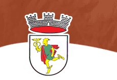 “La nostra presenza nella Carniola,&nbsp;Idria”